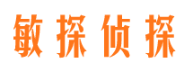 汉南市侦探公司